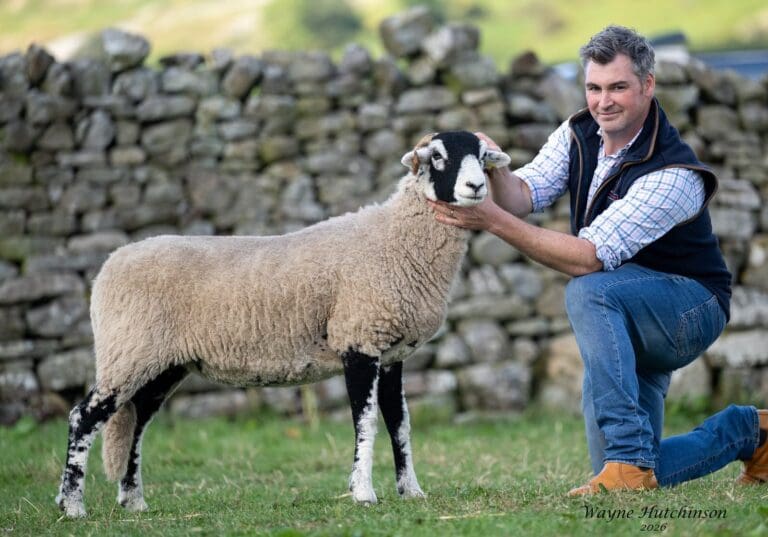 Reeth Show 2026