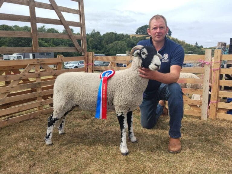 Rosedale Show 2026